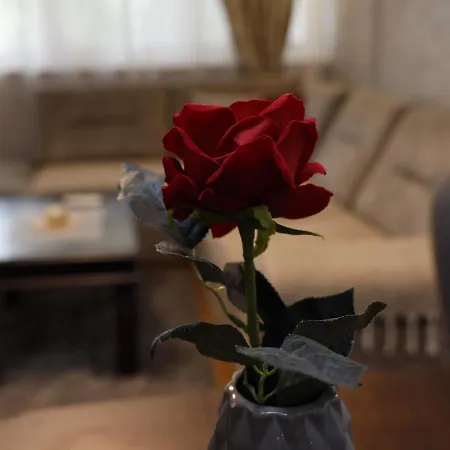 Mona Apartament *
