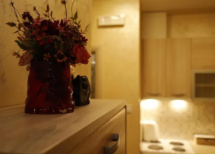 Mona * פודגוריצה